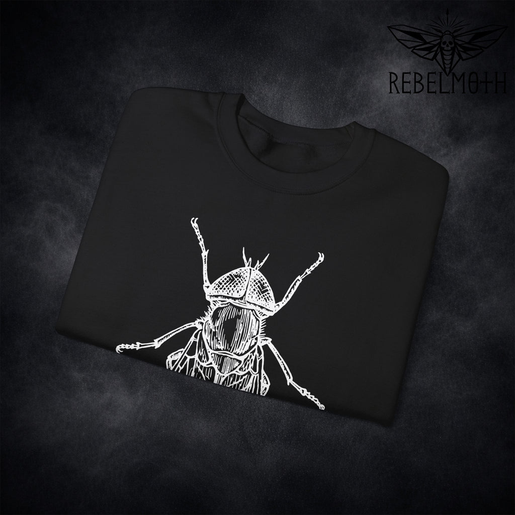 Close-up of house fly line art print on black crewneck sweatshirt (vintage specimen style)